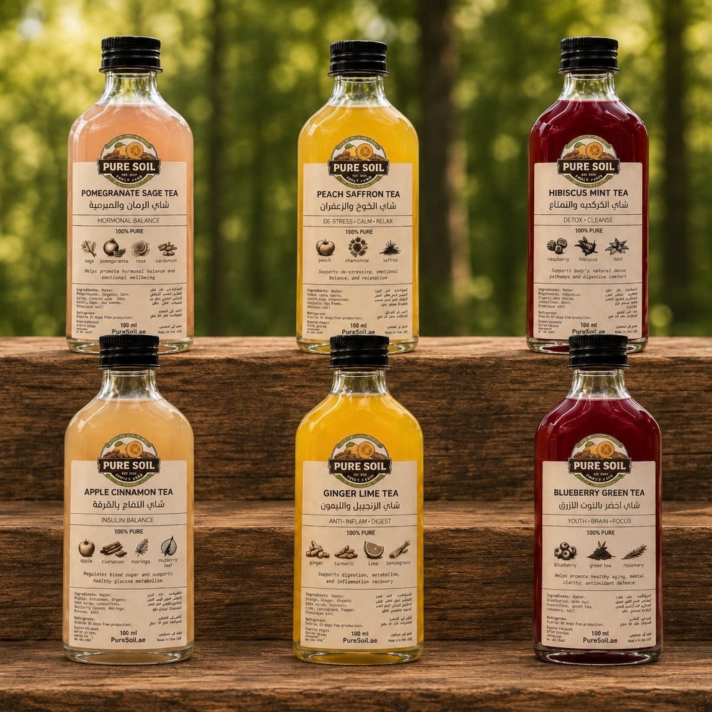 Apple Cinnamon Tea (4 bottles) - Insulin Balance - Longevity Blends Collection