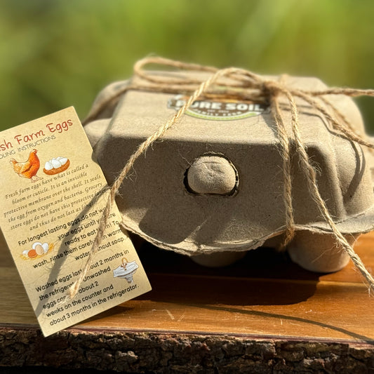 Pasture Raised Chicken Eggs Monthly Subscription (Free Range)