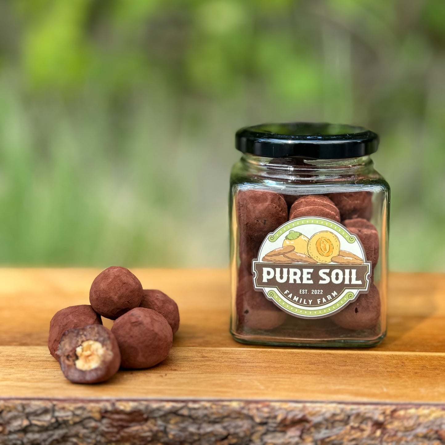 Cocoa Dusted Hazelnut Date Truffles