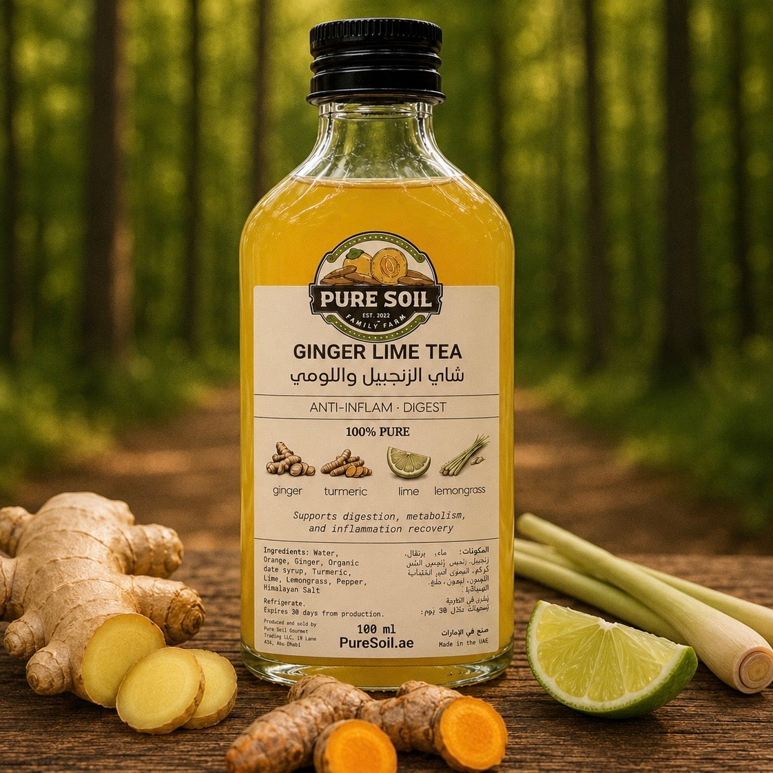 Ginger Lime Tea (4 bottles) - Anti-inflammation • Digest - Longevity Blends Collection